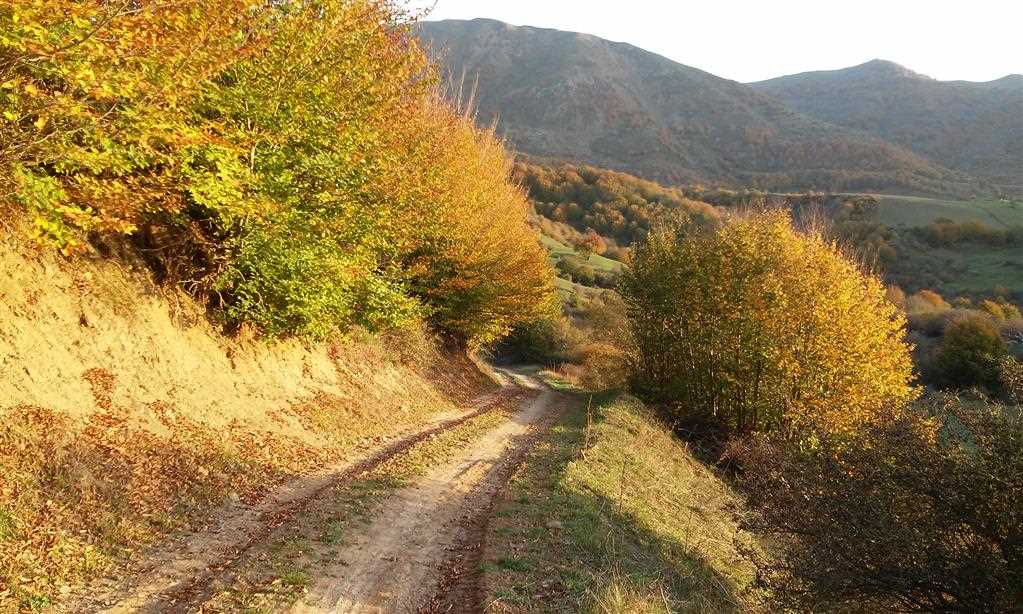 گردشگری،دهگردی،داماش