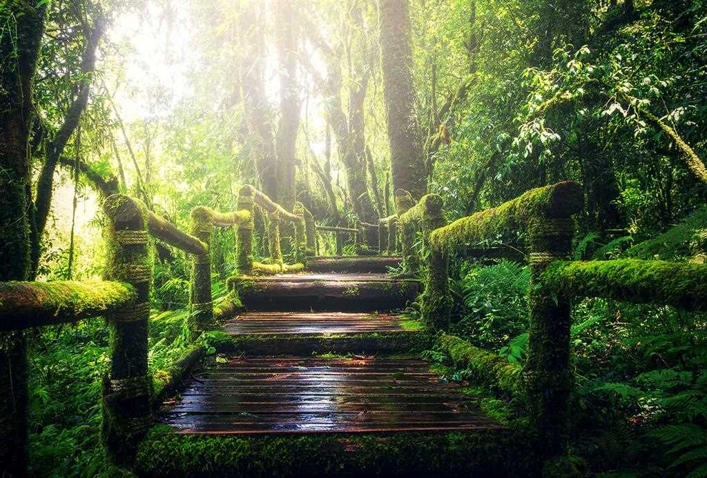 گردشگری،دهگردی،صفرابسته