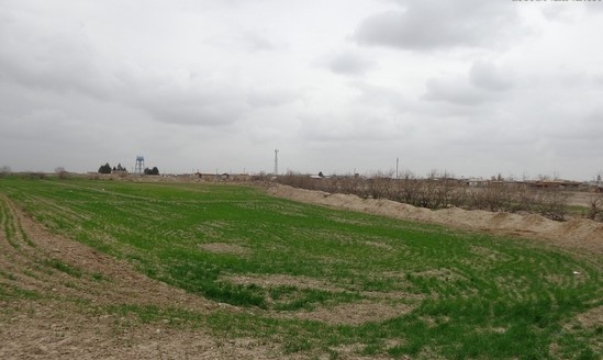 گردشگری،دهگردی،یلمه سالیان