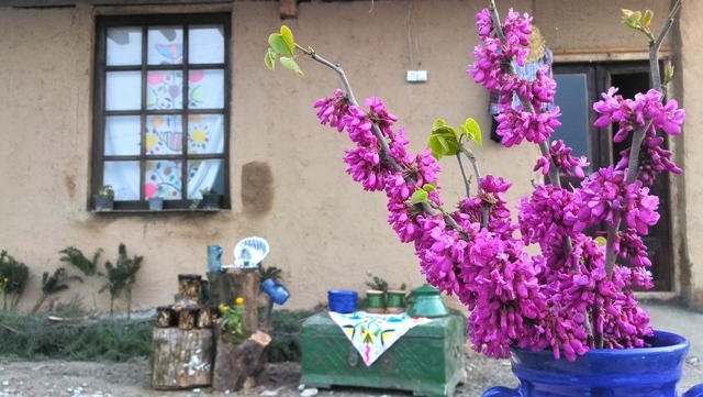 گردشگری،دهگردی،گزشرقی
