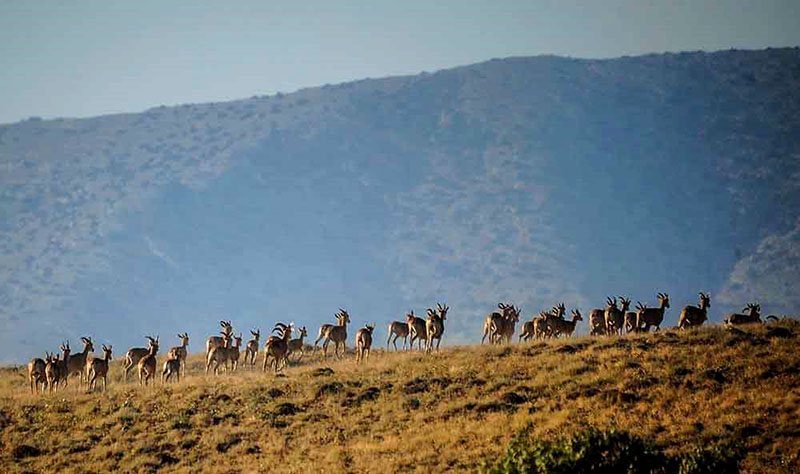 گردشگری،دهگردی،تنگراه