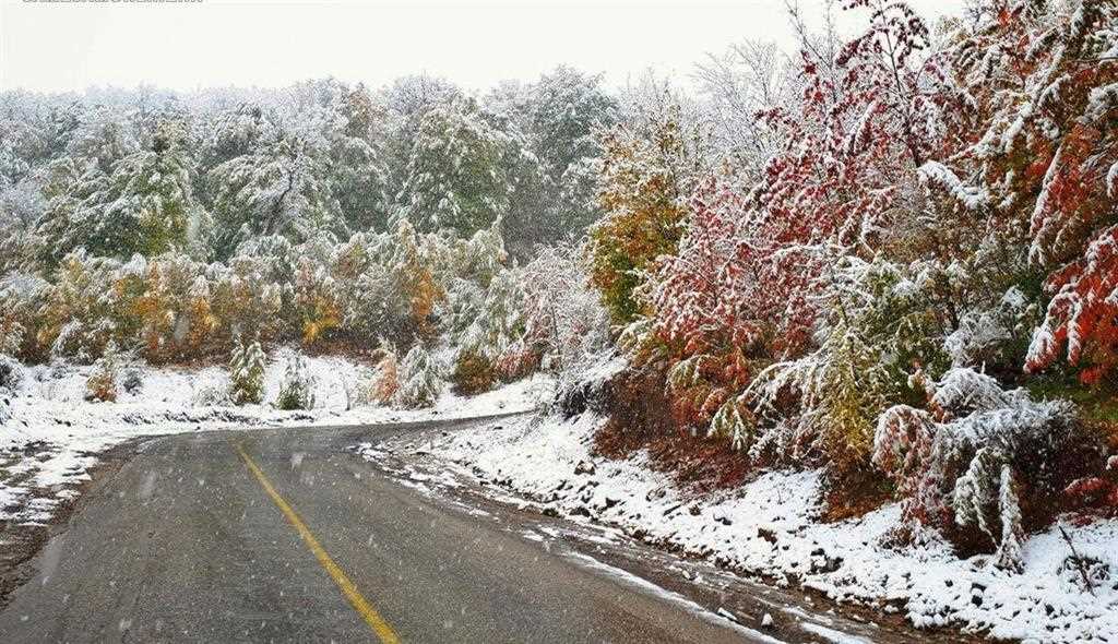 گردشگری،دهگردی،توسکستان