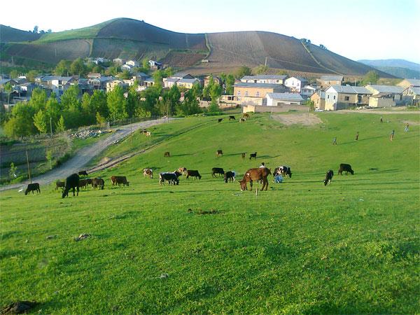 گردشگری،دهگردی،دوزین