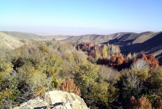 گردشگری،دهگردی،درفک