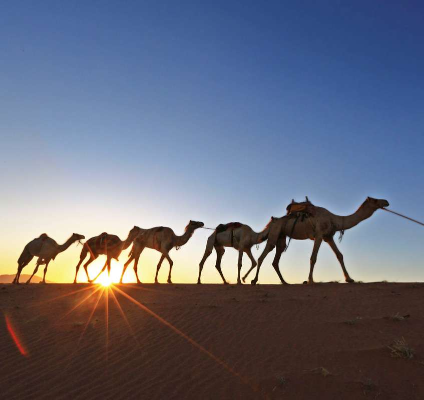 اقامتگاه دهگردی،هتل،بومگردی،اقامت،ویلا،سوئیت،کلبه،ایرانگردی،جاذبه گردشگری دهگردی کویر مصر