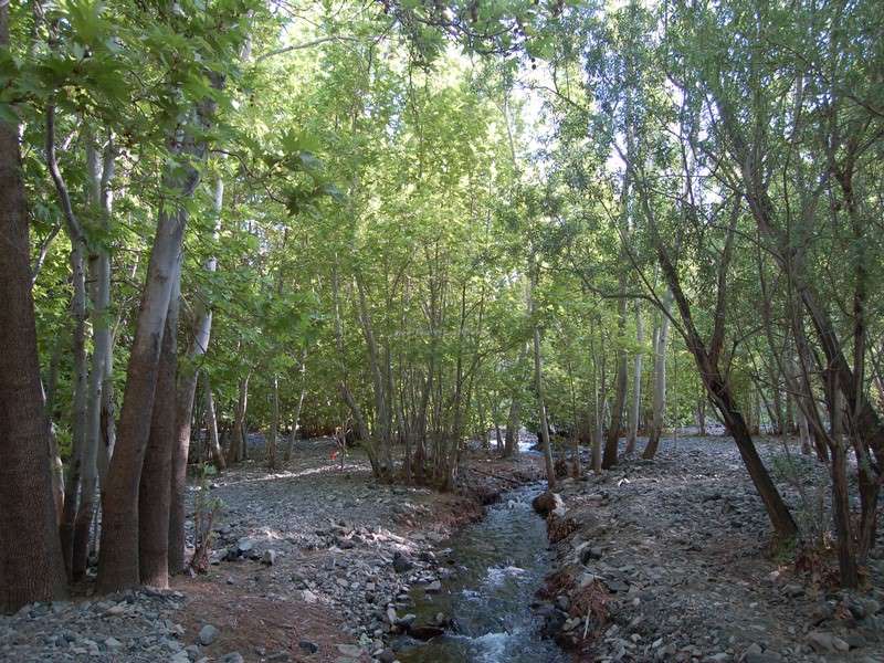 گردشگری،دهگردی،دلبر