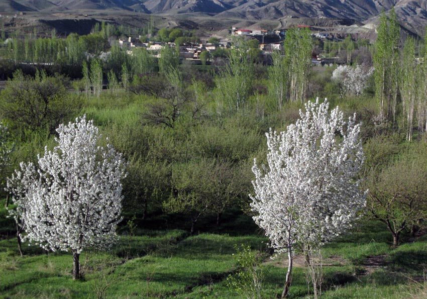 گردشگری،دهگردی،باغ عباس