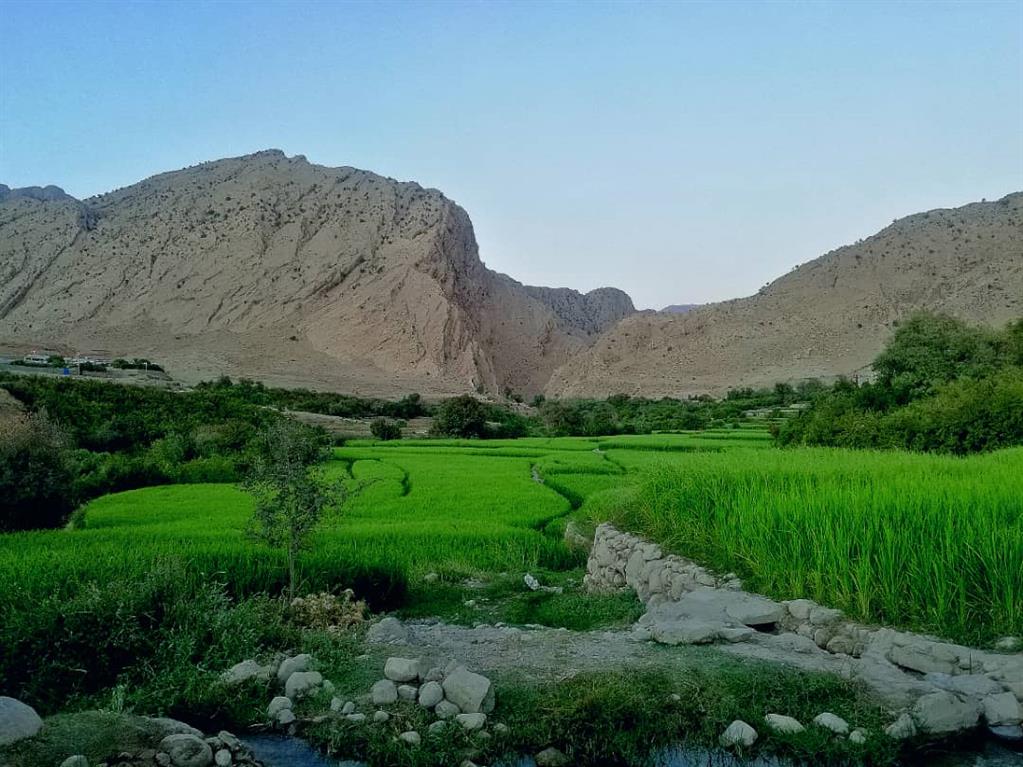 گردشگری،دهگردی،ابوالعباس