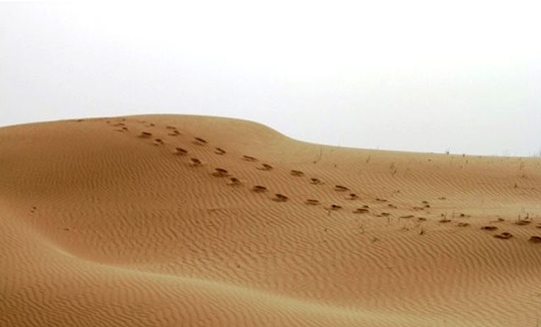 گردشگری،دهگردی،ام دبس