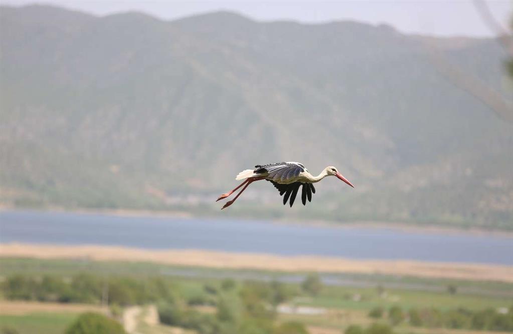 گردشگری،دهگردی،دره تفی