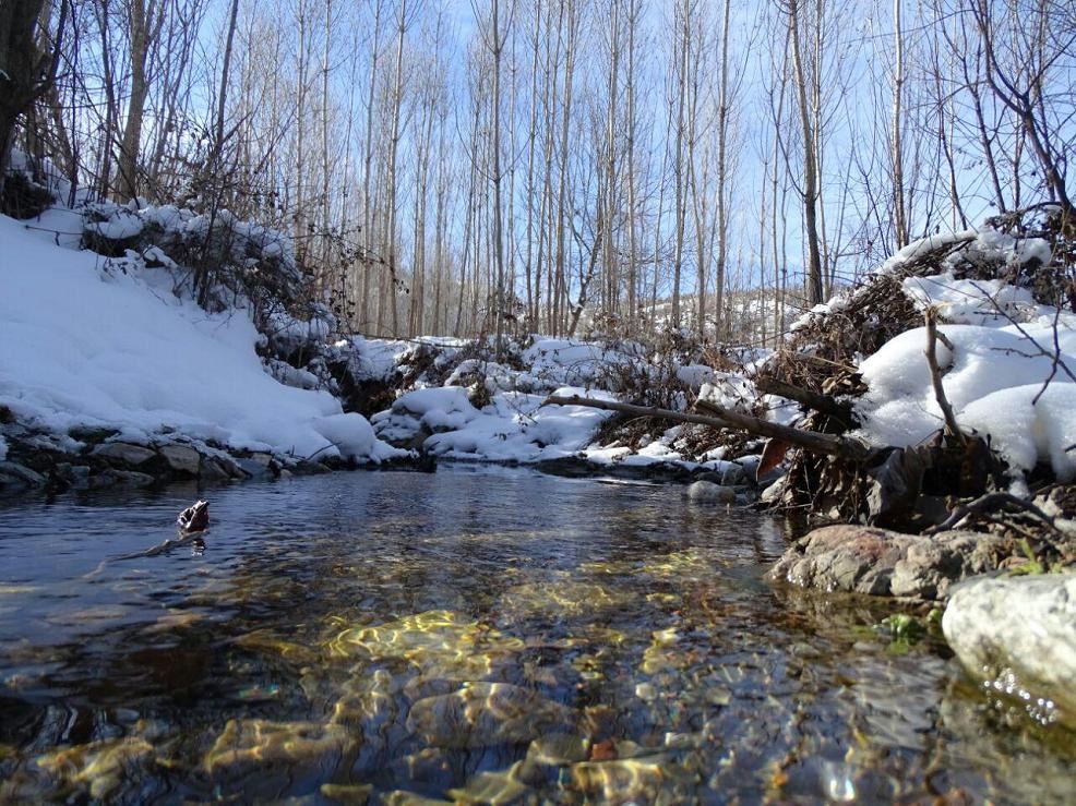 گردشگری،دهگردی،بانوان