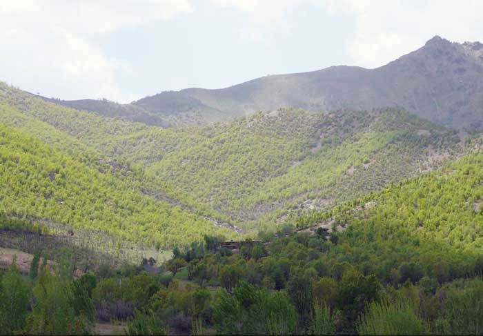 گردشگری،دهگردی،سبدلو