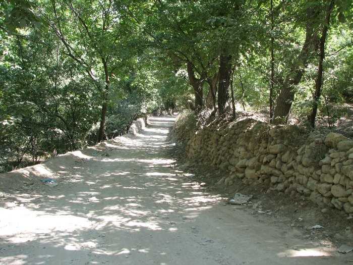 گردشگری،دهگردی،وفس