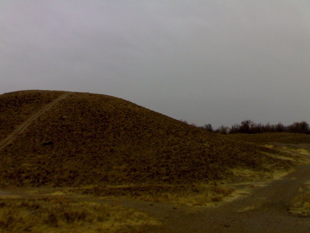 گردشگری،دهگردی،مشهد زلف آباد