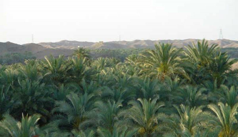 گردشگری،دهگردی،ابادان