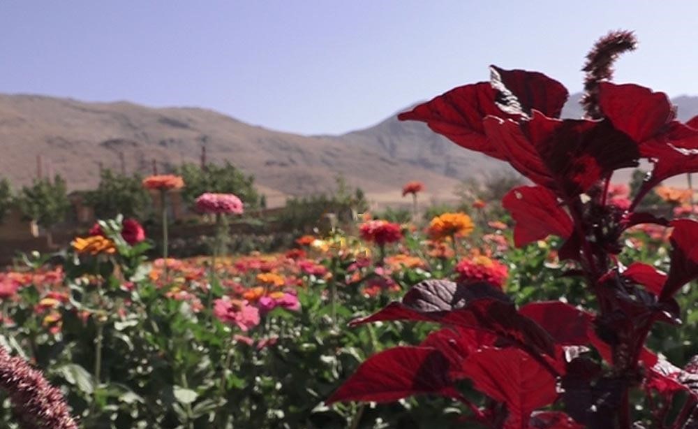 گردشگری،دهگردی،گایکان