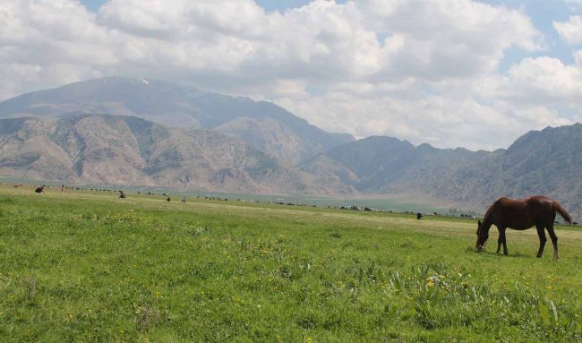 گردشگری،دهگردی،دشت ارژن