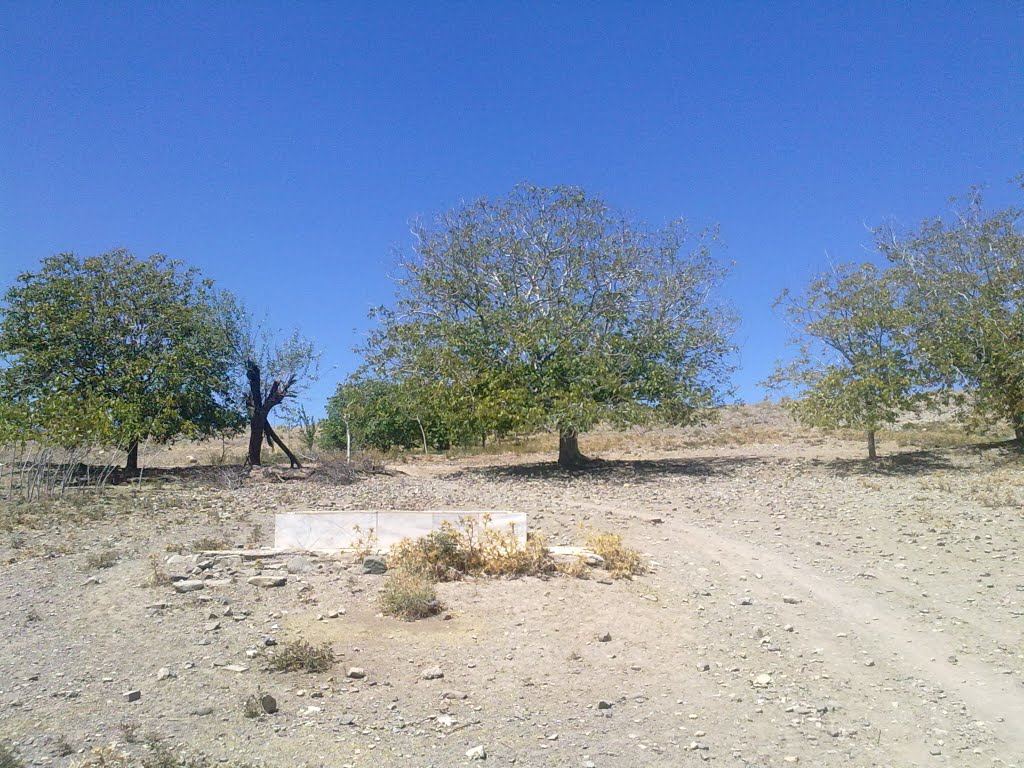 گردشگری،دهگردی،جواران