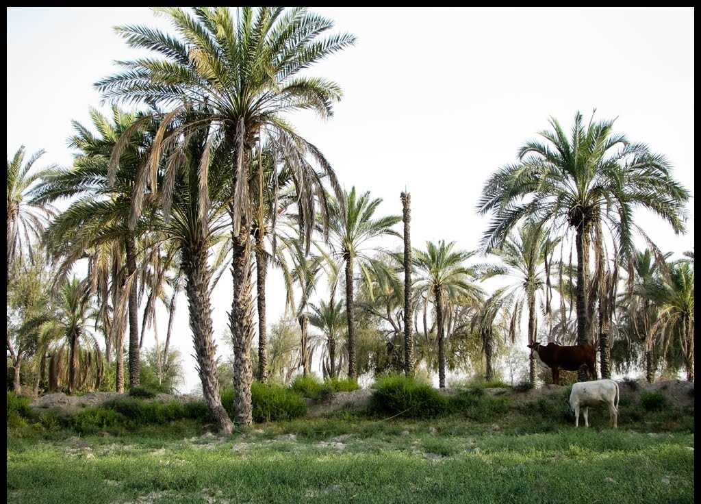 گردشگری،دهگردی،سردره