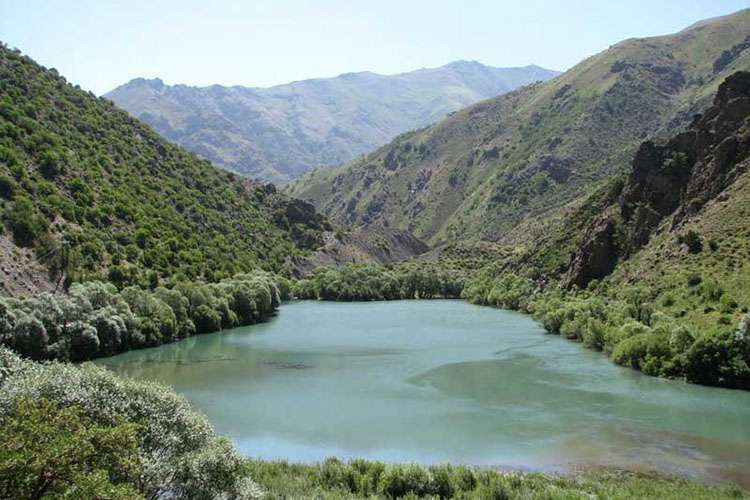 دریاچه مور زرد