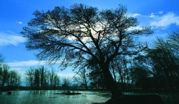 گردشگری،دهگردی،سنقر آباد