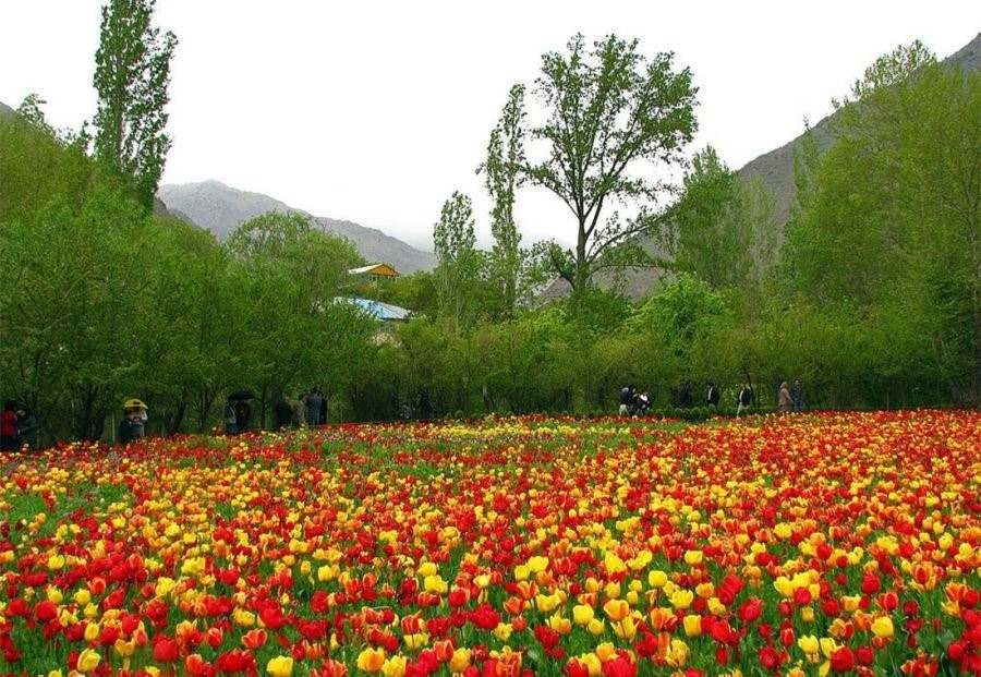 گردشگری،دهگردی،گچسر