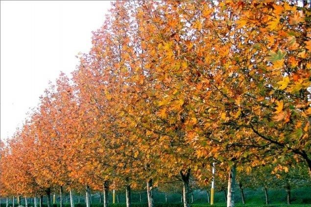 گردشگری،دهگردی،اولتان