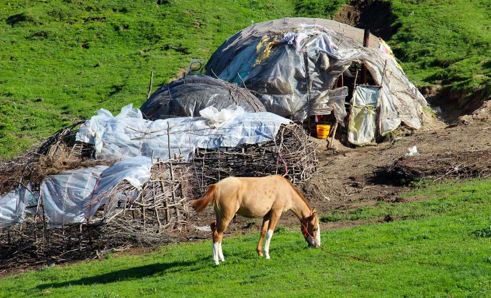 گردشگری،دهگردی،روستا سوها