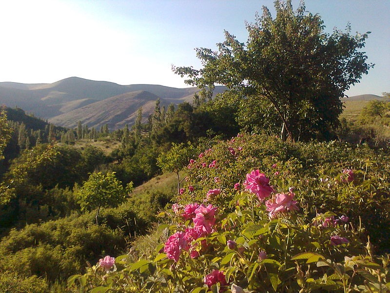 گردشگری،دهگردی،مجارشین