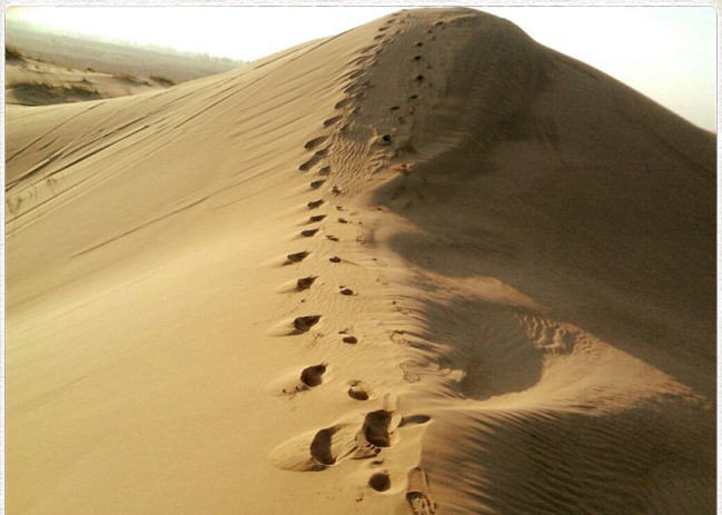 گردشگری،دهگردی،شهنیا