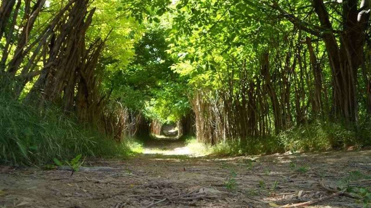 گردشگری،دهگردی،بانقلان